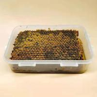 蜂巢蜜嚼着吃老巢蜜 天然农家自产巢蜜土蜂蜜500g盒装 1斤装
