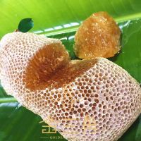 小挂蜜巢蜜嚼着吃纯正天然土蜂蜜百花蜜农家自产小草蜂蜜