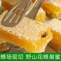真蜂蜜蜂巢蜂蜜切割一斤盒装天然原生野山花蜂蜜嚼着吃