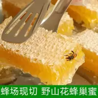 真蜂蜜蜂巢蜂蜜切割一斤盒装原生野山花蜂蜜嚼着吃