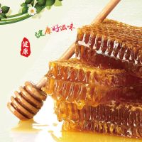 纯正蜂巢蜜500克 蜂蜜块嚼着吃 农家自产峰蜜