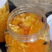 蜂场直发正宗蜂巢蜜百花蜂蜜老巢土蜂蜜农家自产自销