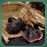 灵芝纯赤灵芝特产切片金边白肉灵芝泡酒 灵芝50克(袋装)