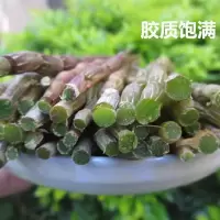 四年露天铁皮石斛鲜条 鲜新石斛干条枫斗 铁皮石斛鲜条250克