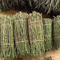 鲜石斛条石斛颗粒盆栽铁皮紫皮霍山乐清铁皮枫斗石斛花 鲜石斛100克