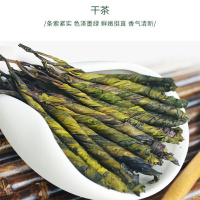 正宗苦丁大叶苦丁茶一级苦丁新茶批发