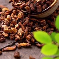 蒲公英根茶蒲公英根茶婆婆丁根茶炒熟公英根茶