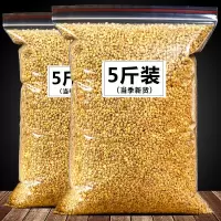正宗黄苦荞茶 批发苦荞麦茶 苦荞茶大凉山