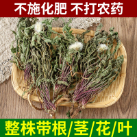 全株蒲公英根整根蒲公英茶正品中草药材非新鲜浦公英干货250克
