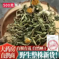 新货蒲公英整根正品500g干货公英草整棵不蒲公英茶