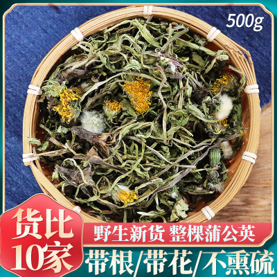 蒲公英500g整根干货公英草新货整棵泡茶否浦公英茶