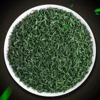 新茶叶春茶绿茶毛尖茶日照充足高山云雾浓香型袋装散装共750g