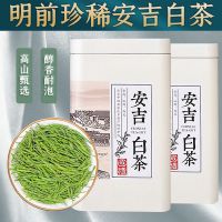 正宗安吉白茶 新茶明前头采嫩芽珍稀白茶叶罐装礼盒装125g