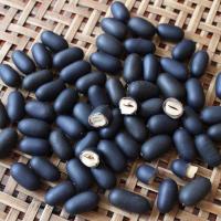 双肾子 龙凤籽 石莲子男性 双肾子正品新货精选 500克