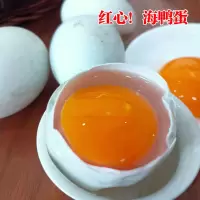 广西北海北部湾红树林正宗新鲜生海鸭蛋土鸭蛋农家散养新鲜海鸭蛋 30枚