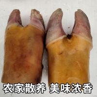 新鲜牛掌10斤牛脚蹄批发价手工烧毛牛蹄掌速冻黄牛牛脚掌5斤牛爪 新鲜牛掌5斤(不切)