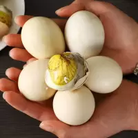13天新鲜活珠子五香麻辣味开袋即食全熟喜蛋钢化蛋正宗厂家批发价 精选五香味活珠子30枚(送蘸料)