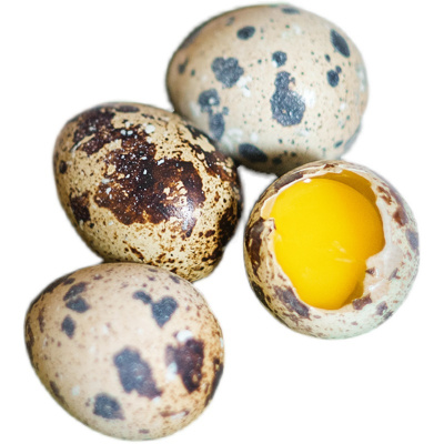 农家杂粮喂新鲜鹌鹑蛋50枚鹌鹑蛋生蛋鹑鸟蛋辅食 整箱
