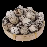 顺丰新鲜鹌鹑蛋生的102枚农家杂粮小鸟蛋辅食安全蛋一箱