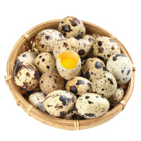 新鲜鹌鹑蛋50枚杂粮喂养鹌鹑蛋生蛋鹑鸟蛋小鸟蛋辅食整箱