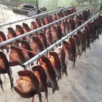 湖北特产风干鱼腊鱼块草鱼阳干鱼咸鱼干干鱼干货农家自制腊肉荆州