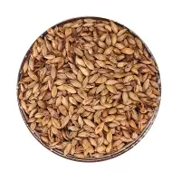 炒麦芽中药材 麦芽 炒熟麦芽 大麦芽500g另有生麦芽