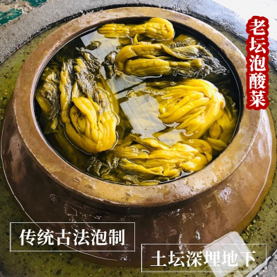 做酸菜鱼的酸菜四川新繁正宗老坛泡菜农家自制南方酸芥菜发酵袋装 酸菜350g*4袋(