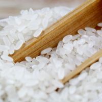 稻谷东北粳米优质真空压缩晚稻小粒香吉宏六号大米10斤20斤装