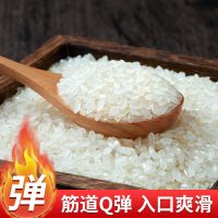 东北大米10斤长粒大米5kg香米粳米批发长粒香米 新米