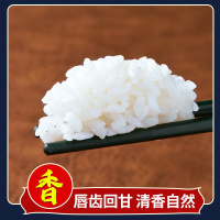 新东北大米10斤装哈尔滨优质长粒香米真空米饭粳米原香稻批发10斤
