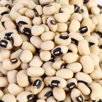 新货白眉豆 农家白豇豆 新货饭豆白豆米豆子江豆类豆浆 杂粮粗粮 3斤新眉豆(今年新豆)