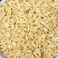 新货燕麦米 农家自种燕麦仁荞麦米全胚芽燕麦五谷杂粮粗粮1斤 3斤燕麦米