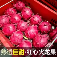 红心火龙果新鲜应季时令水果超甜金都一号批白心火龙果