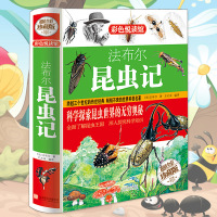 昆虫记法布尔正版原著无删减小学生适合小学三到四五六年级阅读的课外书必读版3-4-5-6年纪男孩10-15岁看12儿童绘本