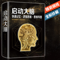 启动大脑快速记忆逻辑思维思维导图训练知识大全 提升大脑思维能力 逻辑学万万没想到快速阅读学习记忆法