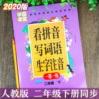 2020版二年级下册看拼音写词语生字注音人教版语文配套一课一练拼音生字听写默写专项突破训练课堂同步课课练1年级下学期 含