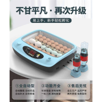 小型孵化器家用孵蛋器全自动智能芦丁鸡孵化机孵小鸡的机器孵化箱其他厨房工具