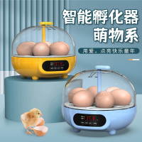 孵蛋器小芦丁鸡水床孵化器小型家用型儿童孵化机迷你全自动孵化箱其他厨房工具