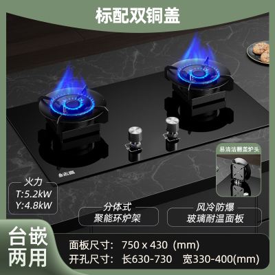 志高CHIGO家用燃气灶双灶防干烧天然气翻盖式煤气灶台嵌入式猛火灶台式_标配玻璃双铜盖翻盖聚能环_液化气