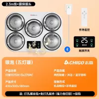 志高CHIGO壁挂式灯暖浴霸灯泡取暖器挂壁墙式卫生间浴室风暖免打孔防水_WD-10五灯壁挂双控触控+遥控蓝牙音响银泡漏保