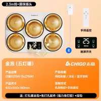 志高CHIGO壁挂式灯暖浴霸灯泡取暖器挂壁墙式卫生间浴室风暖免打孔防水_WD-11五灯壁挂双控触控+遥控蓝牙音响金泡漏保