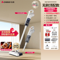 志高(CHIGO)无线吸尘器家用大吸力吸拖地一体机大功率手持除宠物猫毛_无刷顶配版无刷电机双电池湿拖水箱滤芯5个