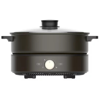 美的多功能电火锅 DH2601