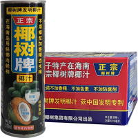 椰树 椰子汁椰奶310ml *24罐/箱