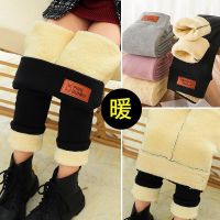 特别厚中大童羊羔绒冬季加绒打底裤女儿童紧身裤保暖外穿含棉裤潮 莎丞