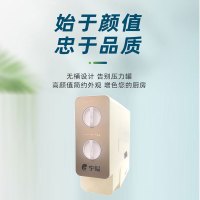 宁鲲 厨下式家用直饮净水器 无桶 大流量 400GRo膜反渗透净水机NK-RO-400G