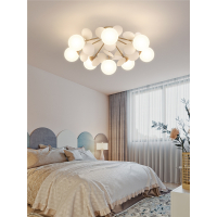 北欧卧室灯吸顶灯简约现代网红灯具主卧阿斯卡利(ASCARI)个性创意led浪漫温馨灯饰