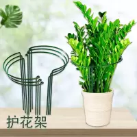 阿斯卡利(ASCARI)花支撑架户外花卉爬藤月季绿植固定器花架植物支撑金钱树龟背竹护花架