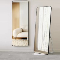 棠溪塘全身镜落地镜家用简约网红ins风女宿舍卧室壁挂贴墙试衣穿衣镜子
