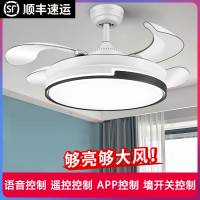 阿斯卡利(ASCARI)风扇灯家用客厅餐厅吊扇灯卧室电扇吊灯一体带电风扇的灯